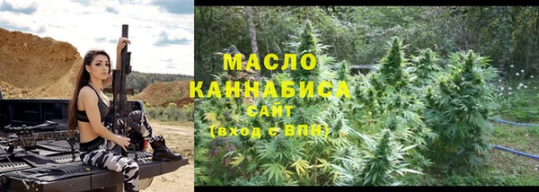 метадон Каменка
