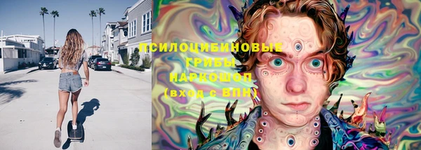 метадон Каменка