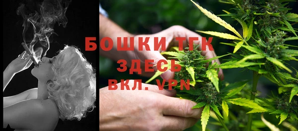 бошки Каменногорск