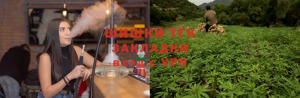 бошки Каменногорск