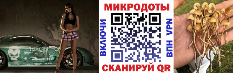 Купить где  Ермолино  Псилоцибиновые грибы мухоморы 